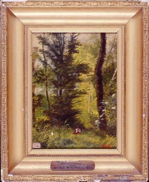 Sous-bois, le Monceau, près de Pithiviers_0