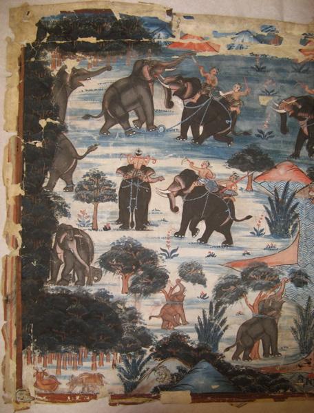 Dressage d'éléphants_0