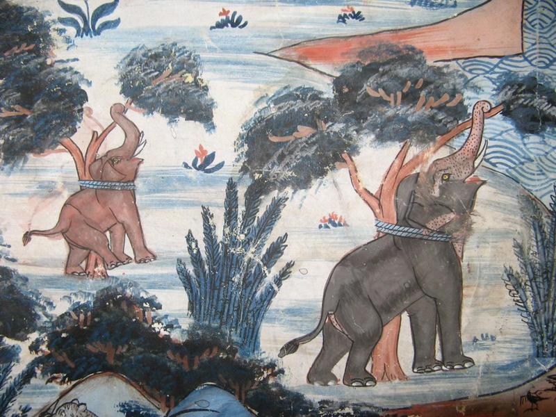 Dressage d'éléphants_5