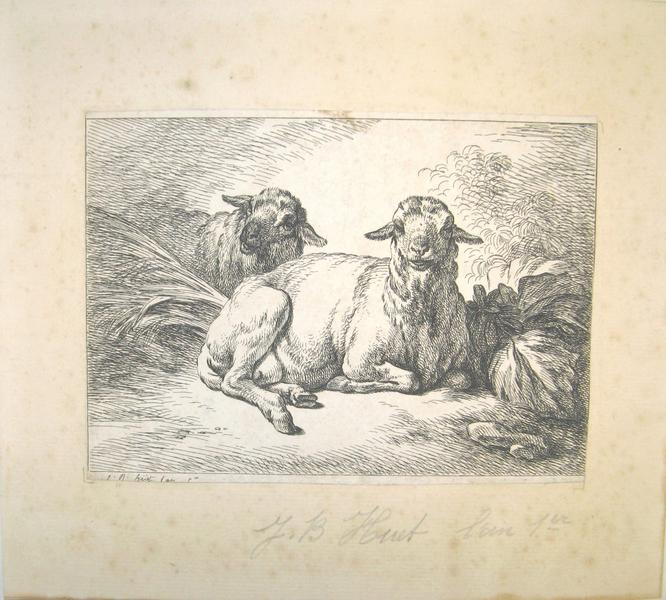 Deux Moutons couchés_0