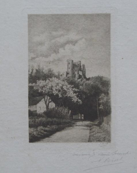Vue du château de Lavardin_0