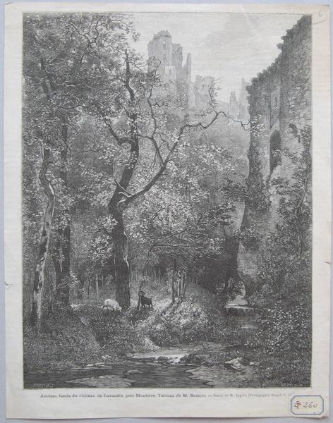 Vue du château de Lavardin_0