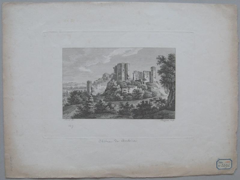 Ruines du château de Montoire_1