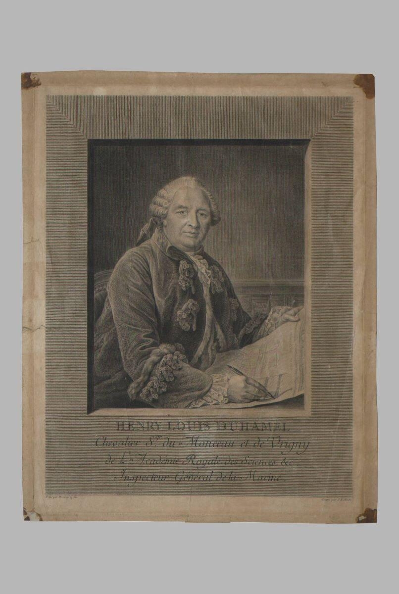 Duhamel du Montceau (titre factice), François Hubert Drouais, 1ère moitié 19e siècle