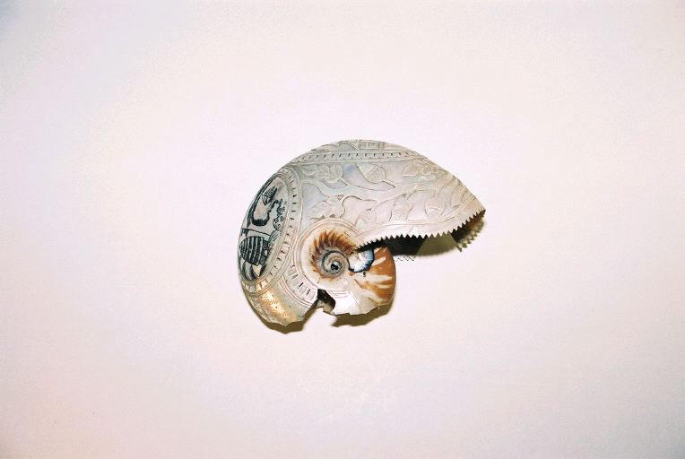 Objet indéterminé_0