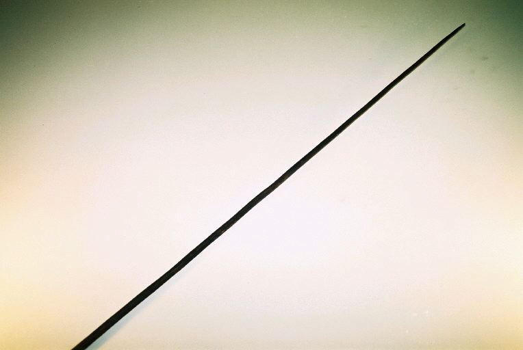 Sagaie (à deux pointes)_0
