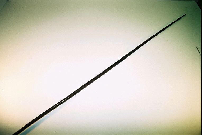 Sagaie (à deux pointes)_0