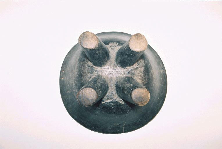 Plat à Kava_1