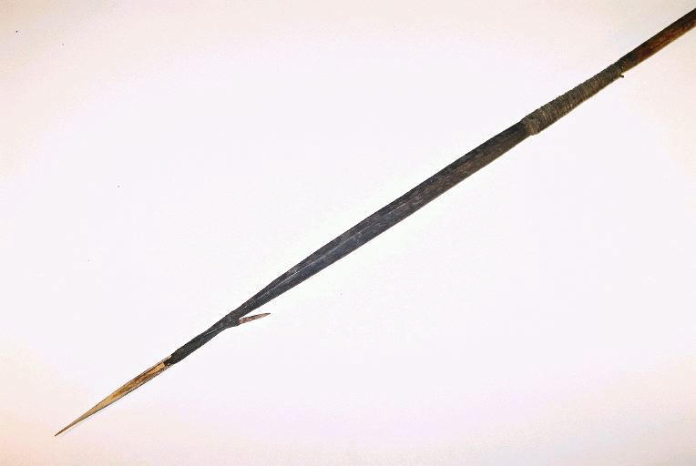 Sagaie_0
