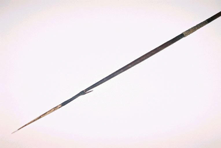 Sagaie_0