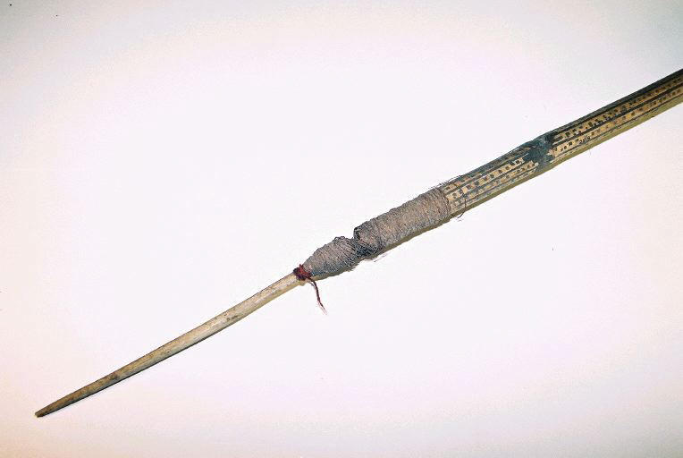 Sagaie_0