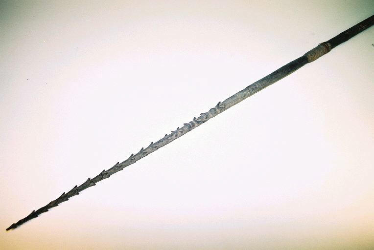 Sagaie_0