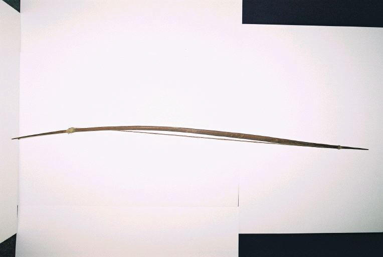 Arc (arme)_0