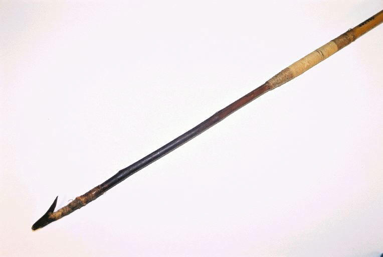 Sagaie_0