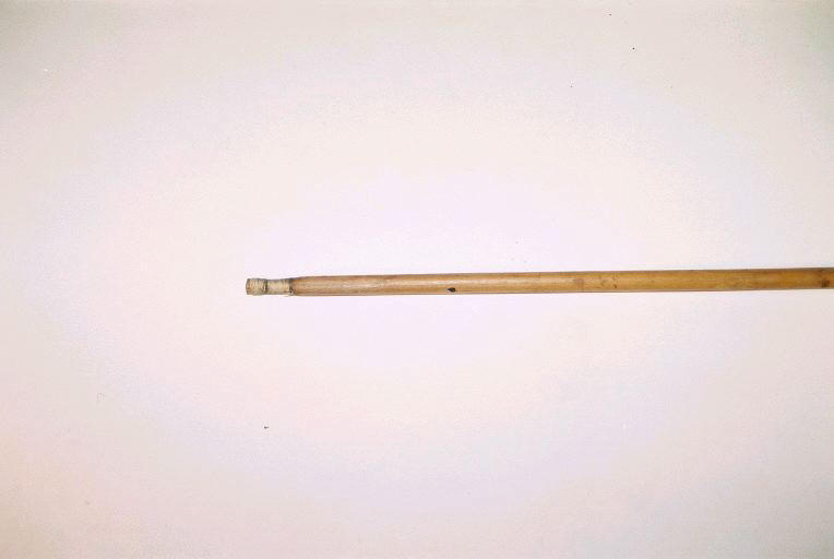 Sagaie (à trois pointes)_1