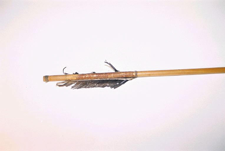 Sagaie_1