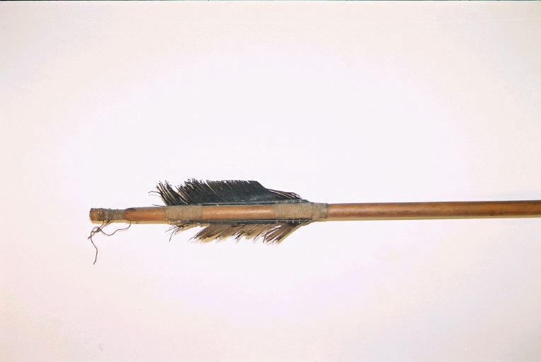 Sagaie_1