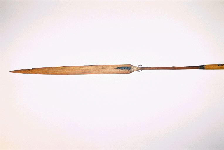Sagaie_0