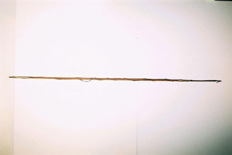 Sagaie_0