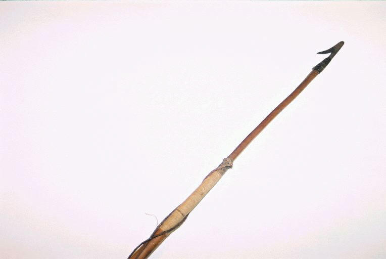Sagaie_1