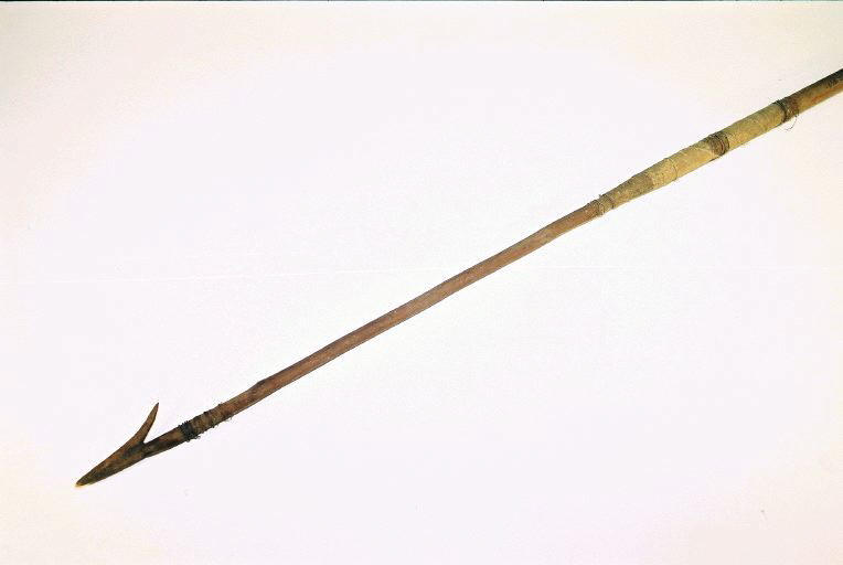 Sagaie_0