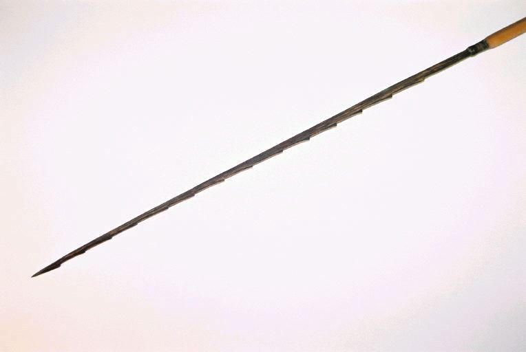 Sagaie_0