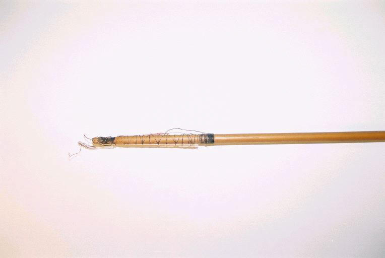 Sagaie_1