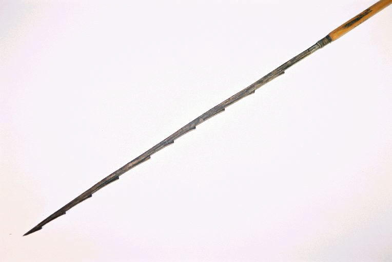 Sagaie_0