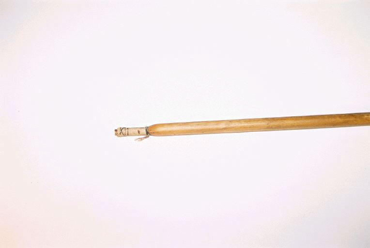 Sagaie_1