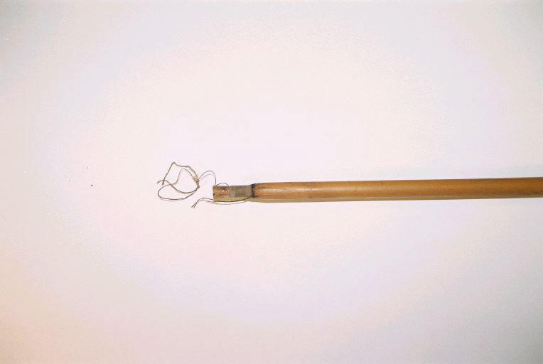 Sagaie_1