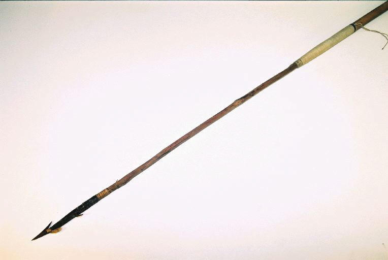 Sagaie_0