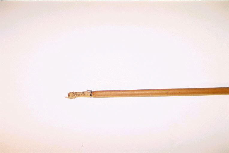 Sagaie_1