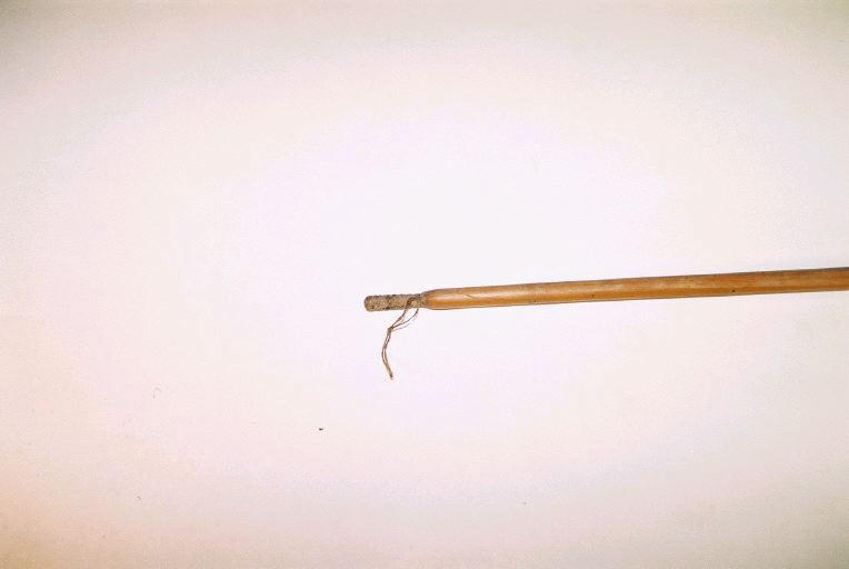 Sagaie_1