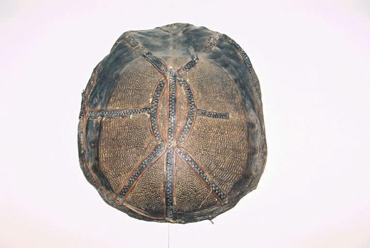 Bouclier_2