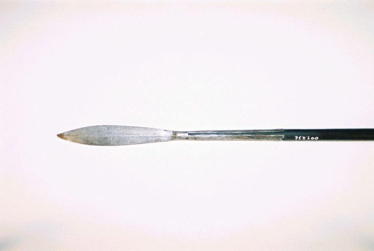 Sagaie_0
