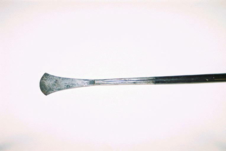 Sagaie_1