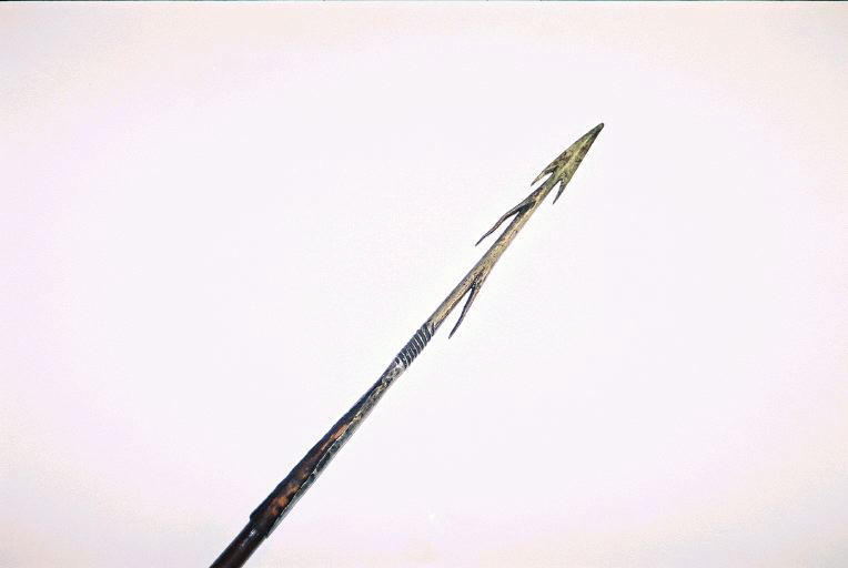Sagaie_1
