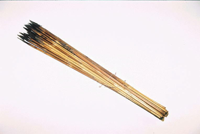Flèche (25)_0
