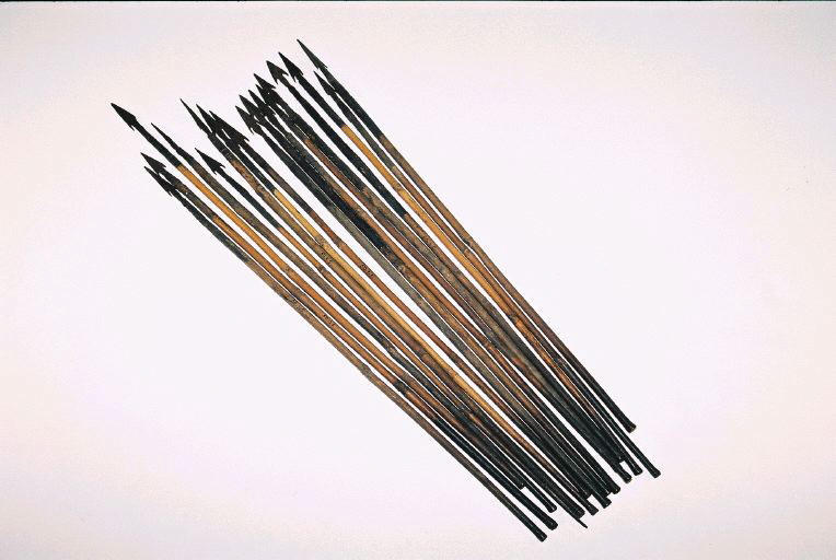 Flèche (17)_0