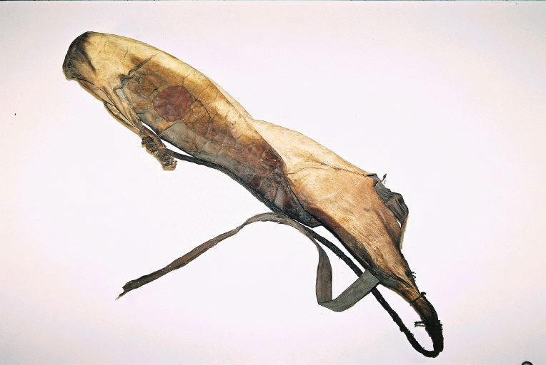 Carquois_0