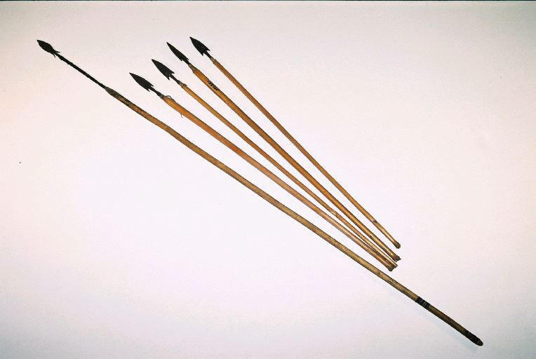 Flèche (5)_0
