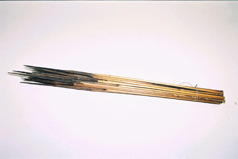 Flèche (34)_0
