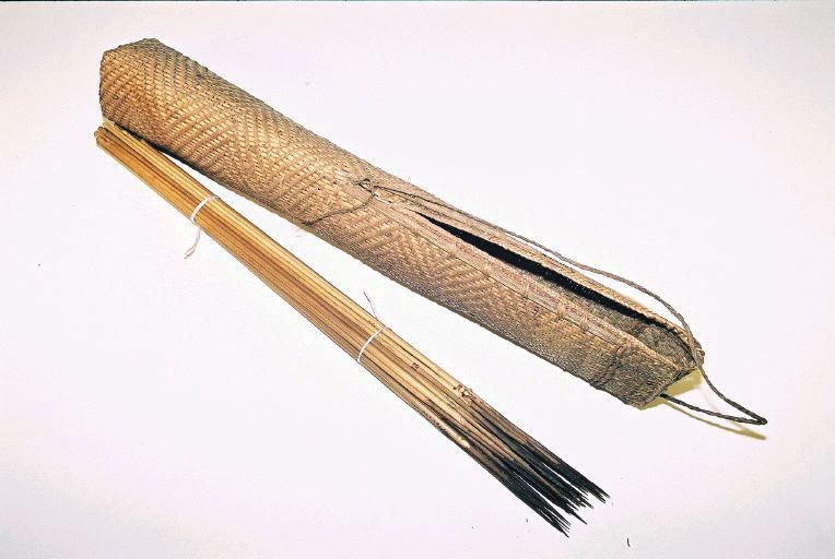 Carquois_1