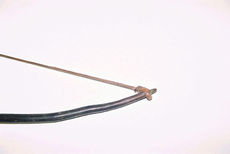 Arc (arme)_1