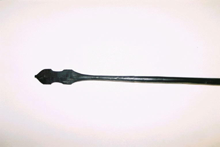 Sagaie_1