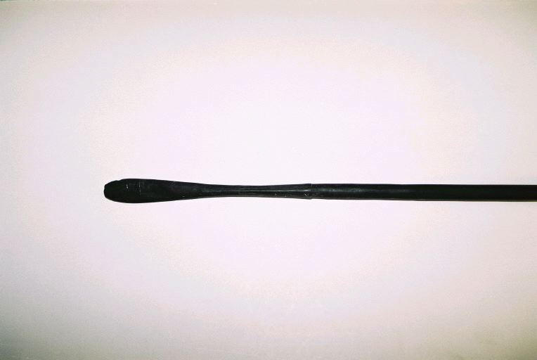 Sagaie_1