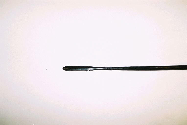 Sagaie_1