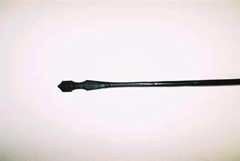 Sagaie_1