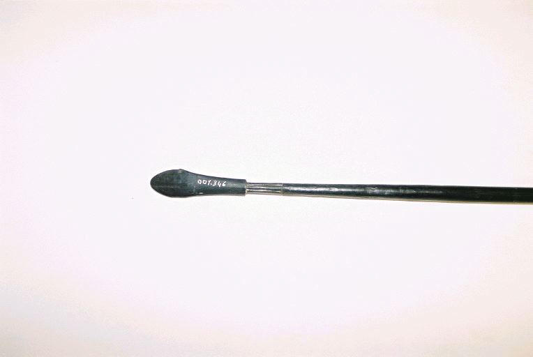 Sagaie_1