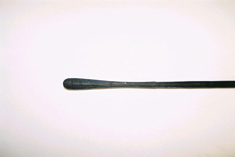 Sagaie_1